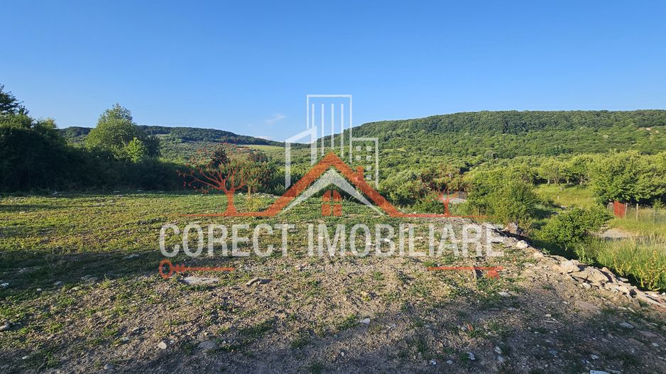 Teren extravilan 1300 mp - Poză 6