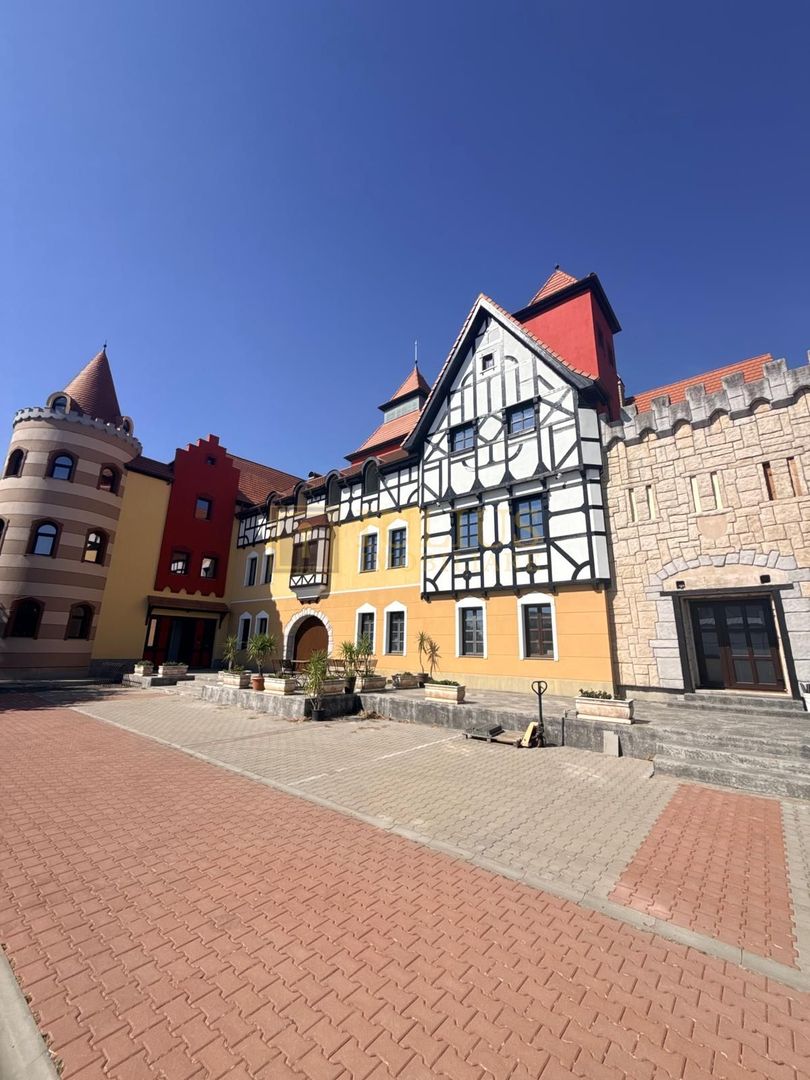 Mosnita Noua-Castel Royal| 2 camere| stil bavarez din lemn si piatra naturala - Poză 18
