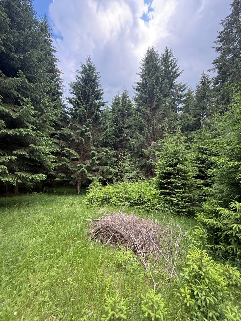 Teren intravilan de vânzare-COMANDAU /COVASNA-2500mp - Poză 3