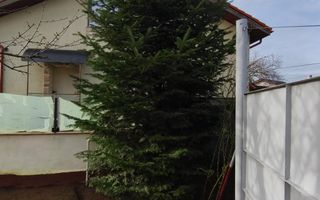 Casa curte cu teren 1600 mp Manolache - Poză 13