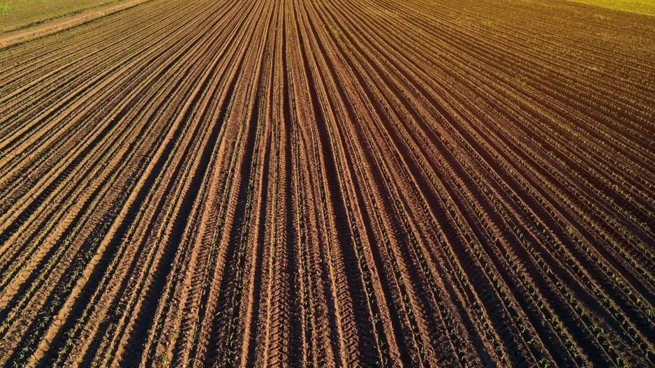 1.835 ha Fermă operațională și teren agricol (Vestul României) - Poză 5