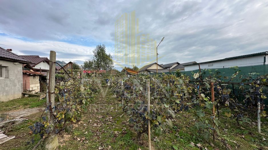 Casa de vanzare Seini - Poză 11