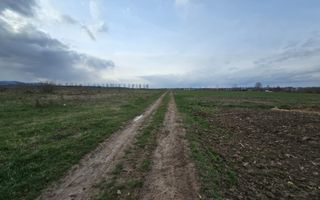 Teren extravilan 29000€ I 33.18 ari I Horodnic - Poză 3