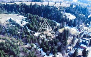 Teren 8 ha cu 15 izvoare minerale, lângă Câmpulung Argeș - Poză 1