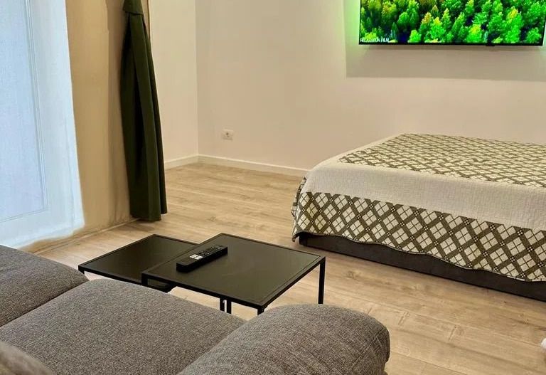 GARSONIERA GHICA APARTMENTS - CURTE PROPRIE 16 MP, PET FRIENDLY - Poză 3