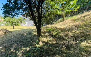 TEREN INTRAVILAN 3234 MP LEREȘTI VOINEȘTI ARGEȘ - Poză 24
