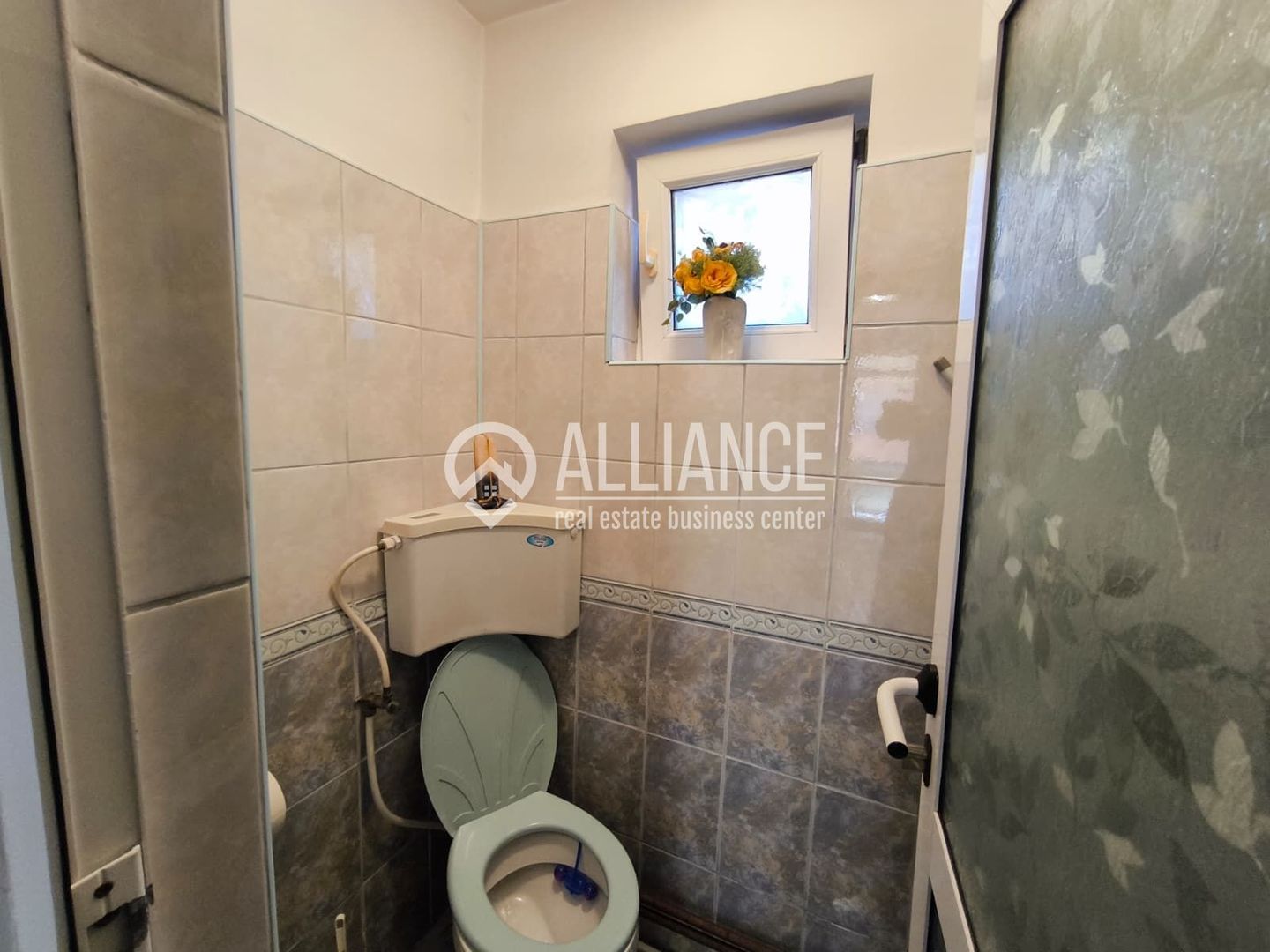 VIILE NOI - casa cu o curte generoasa disponibila imediat - Poză 13