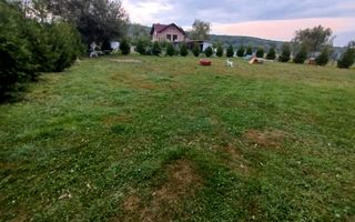 ✨ Oportunitate! Teren 1500 mp cu cabană și utilități – Șelimbăr/Cisnădie - Poză 7