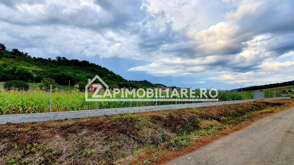 Teren intravilan 25 ari la iesire din Livezeni spre Ivanesti 48 eu /mp - Poză 1