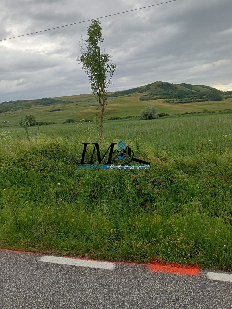 Teren extravilan Drasov - Poză 3