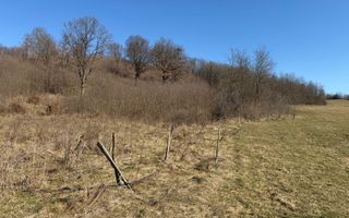 Teren EXTRAVILAN de vânzare în Săcel - Poză 6