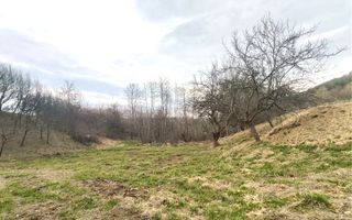 Teren extravilan agricol 1.184 mp | Sibiel | utilități la 100 m - Poză 4