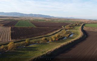 Halchiu Brasov, 80.000 mp teren extravilan - agricol - Poză 4