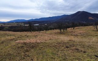 Rădăcini noi, visuri vechi- Teren de vanzare in Cisnadioara, Sibiu - Poză 3