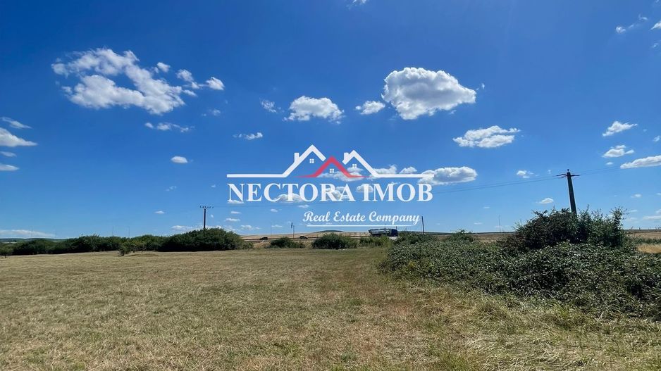 NECTORA IMOB-Teren Zona Osorhei, 5500 mp, 21 ml Front, 210 ml adancime - Poză 2