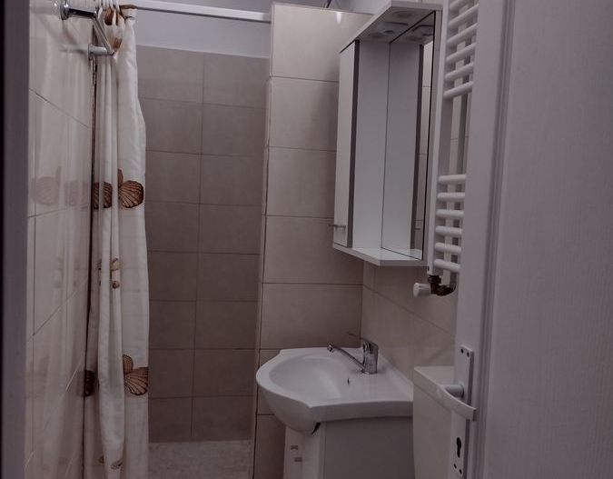 Stirbei Voda, Cismigiu, Conservator - Poză 6