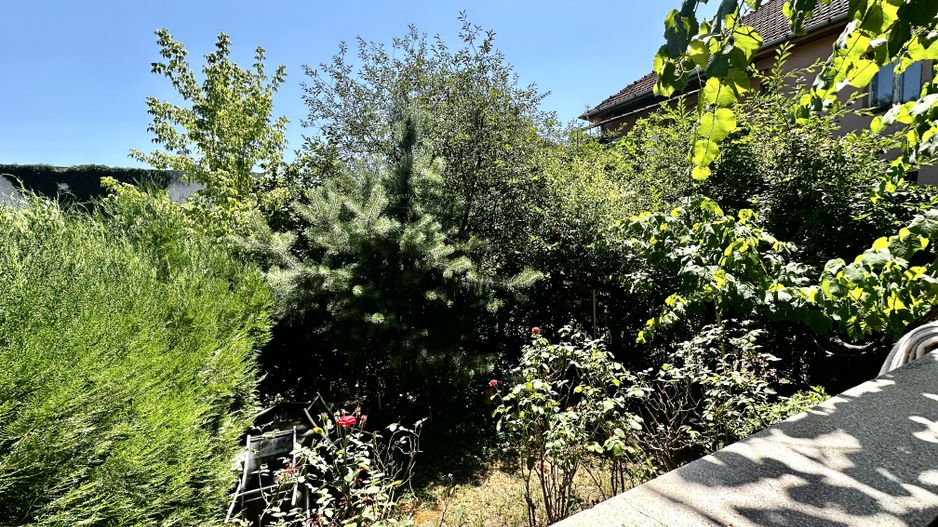 Duplex cu potențial real în Elisabetin – investiția care contează - Poză 9