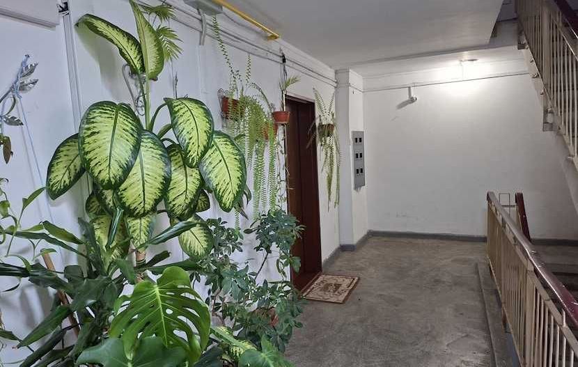 Apartament 3 camere – Obor / Veranda Mall, 80 mp, etaj 7 - Poză 3