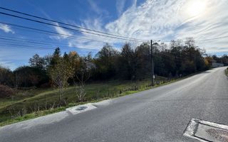 TEREN INTRAVILAN 13167 MP BUGHEA DE SUS ARGES - Poză 5