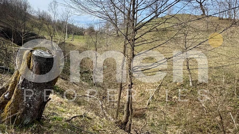 Teren intravialn | 6476 mp | Ulmoasa | zonă superbă - Poză 4