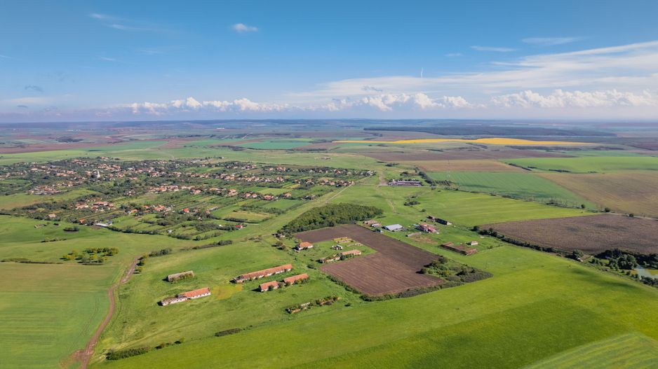 Teren de 69188 mp în Seceani - Poză 4