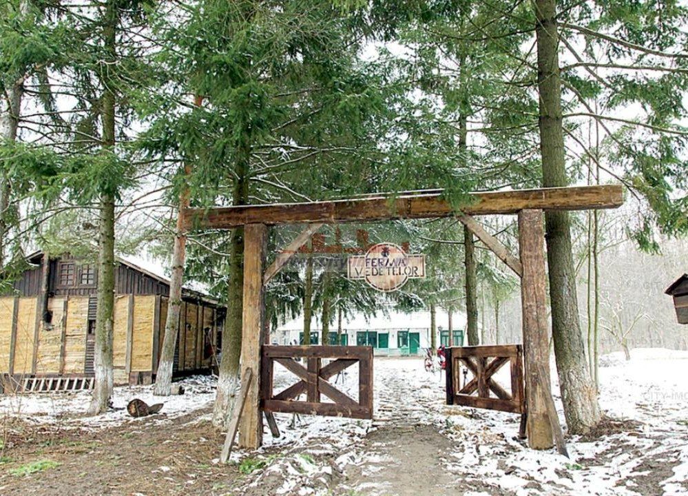 Teren de vanzare Cocani, Crevedia, langa padure Dambovita - 17 km de Bucuresti - Poză 1