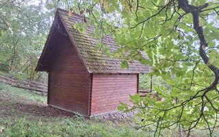 VANZARE ANSAMBLU CASUTE BRADULET ARGES - Poză 9