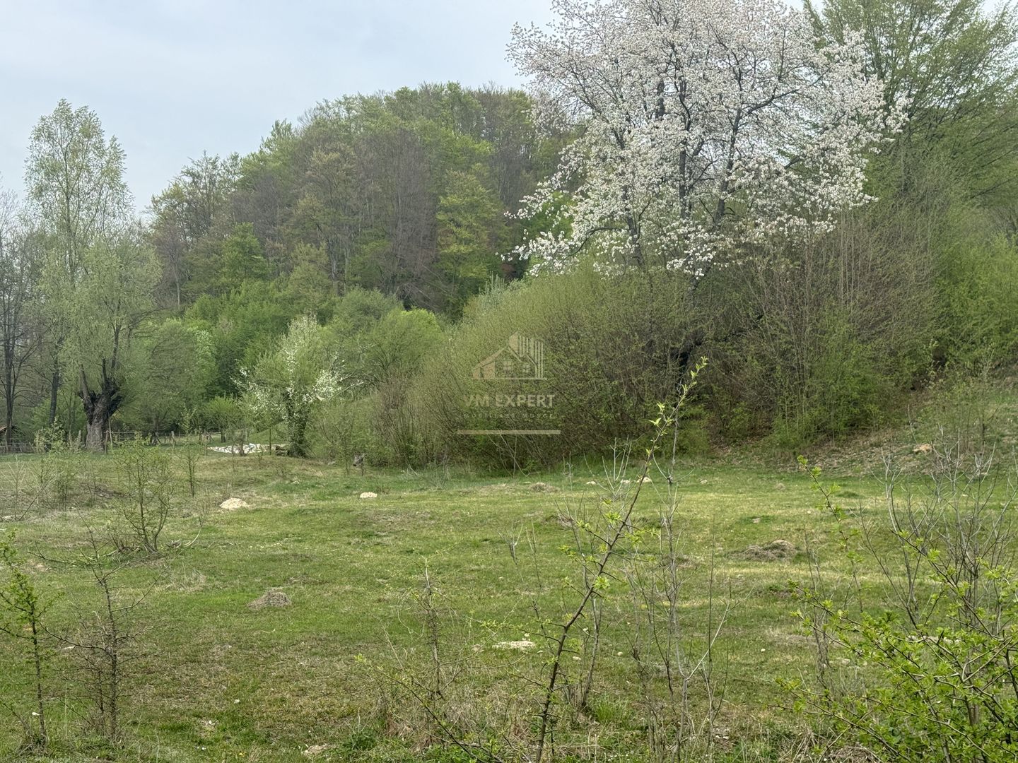 TEREN EXTRAVILAN 40000 MP, ALBESTI DE MUSCEL, CANDESTI - Poză 10