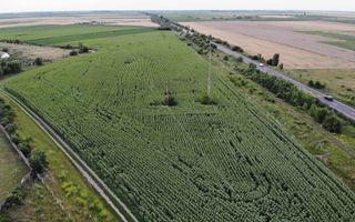 Vand Teren Extravilan Becicherecu Mic(zona industriala) 18.000mp,Utilitati - Poză 1