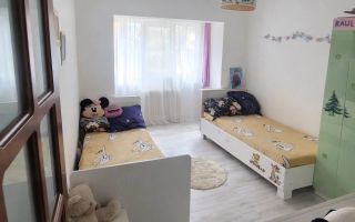 Apartament de vânzare 3 camere 57mpu mobilat parter Ampoi 3 Alba Iulia - Poză 4