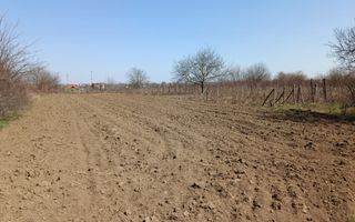 Teren intravilan 2400 mp in Afumati - Poză 2