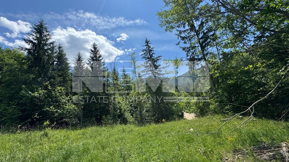 TEREN EXTRAVILAN DE VANZARE | CAMPULUNG MOLDOVENESC | 258.720€ - Poză 6