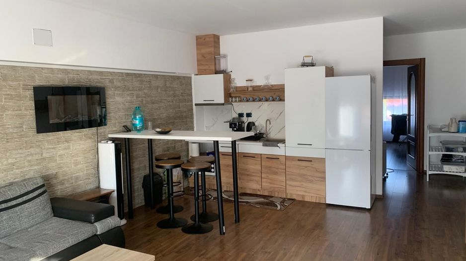 SPATIU DE INCHIRIAT IN MARGINEA - Poză 7