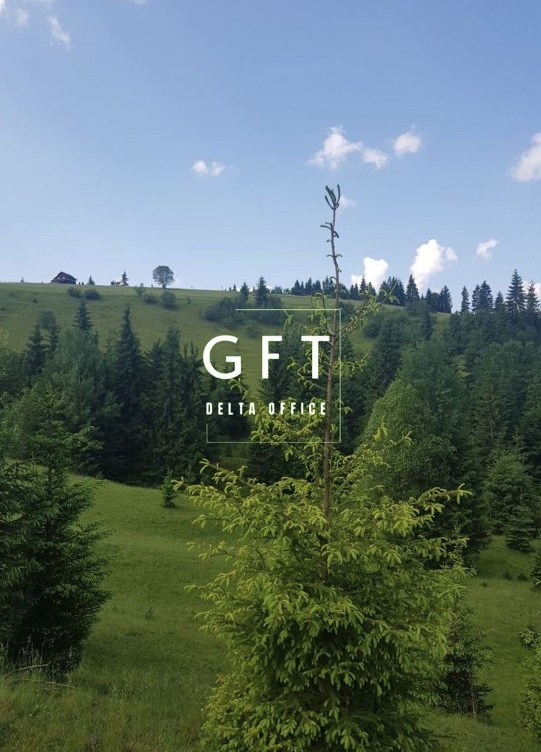 TEREN+PADURE, PASUL TIHUTA - Poză 4