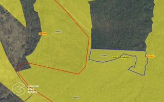 Padure de stejar, Ususau, suprafata 29.800 mp, comision 0% - Poză 2
