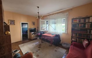Vanzare Vila P+1 Doamna Ghica