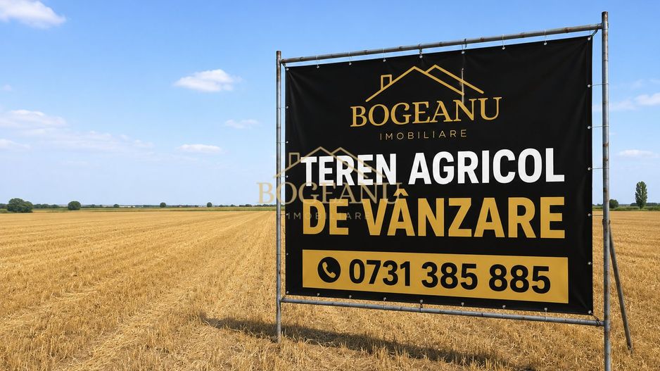 BG185-Teren agricol 6,11 ha Cornești Timis– acces asfalt–14.000 €/ha - Poză 1