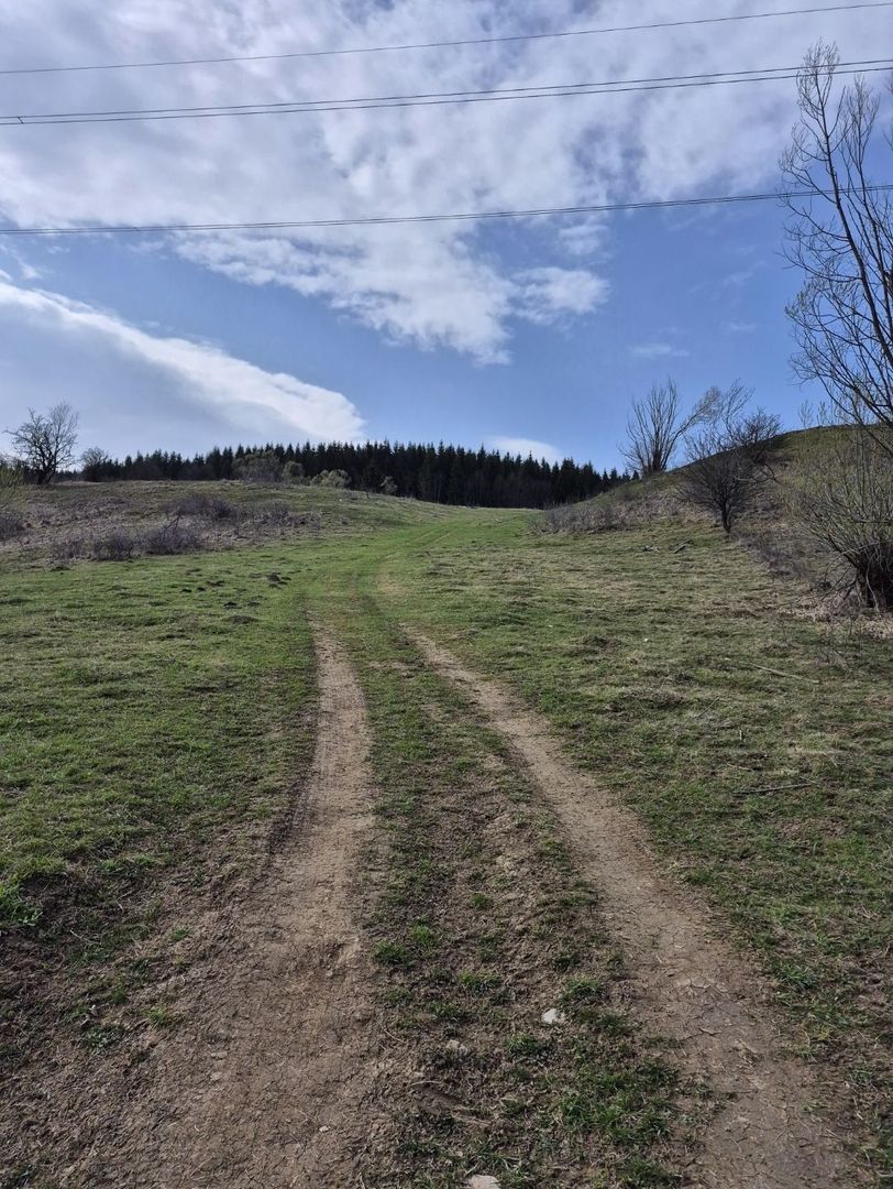 Teren intravilan la baza pădurii Valea Doftanei sat Traisteni (poduri) - Poză 12