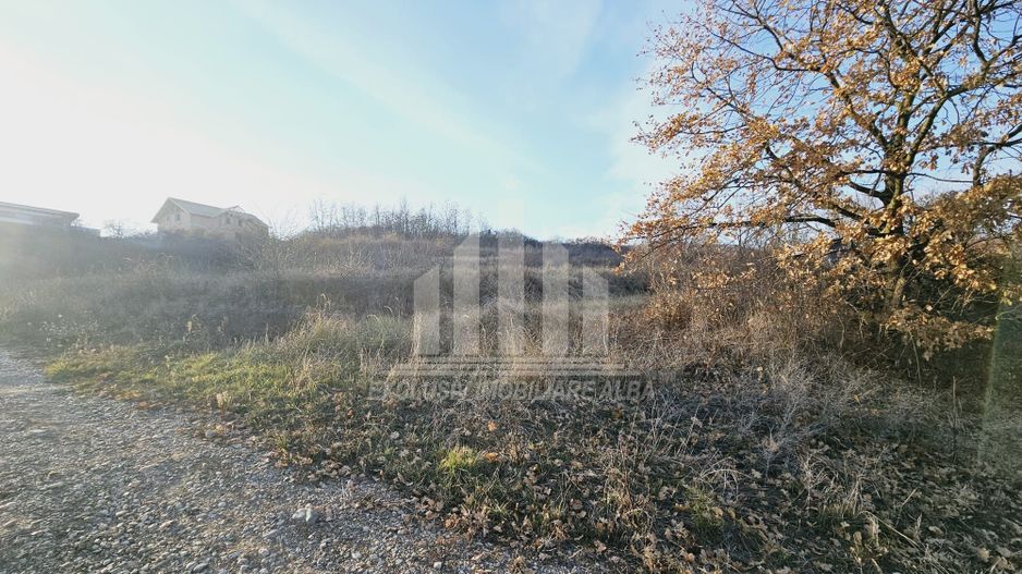 Teren intravilan de vanzare, Cetate - Poză 2