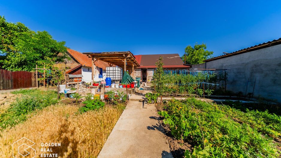 Casa situata in Pecica, 1602 mp - Poză 3