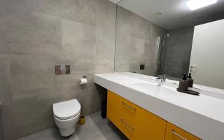 Apartament 2 Camere | One Herastrau Towers - Poză 7