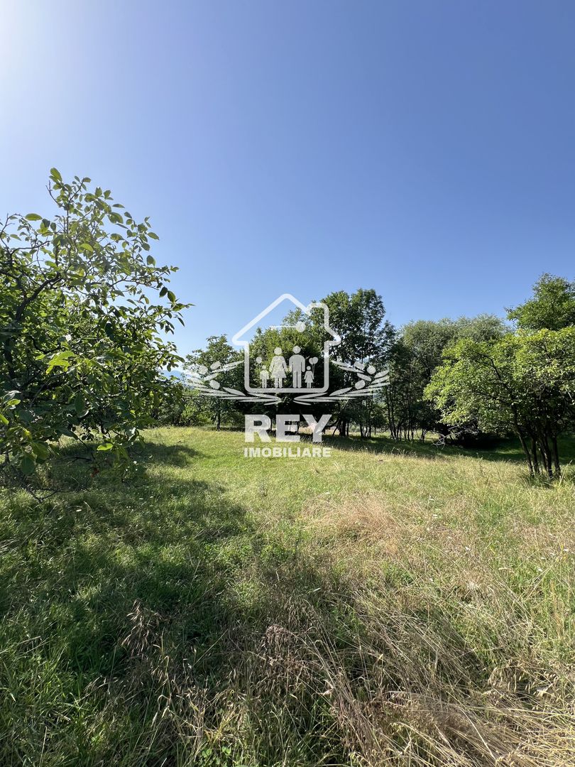 Teren de vânzare Cisnădioara - Poză 6