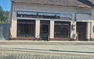 Vand afacere, utilaje si cladire