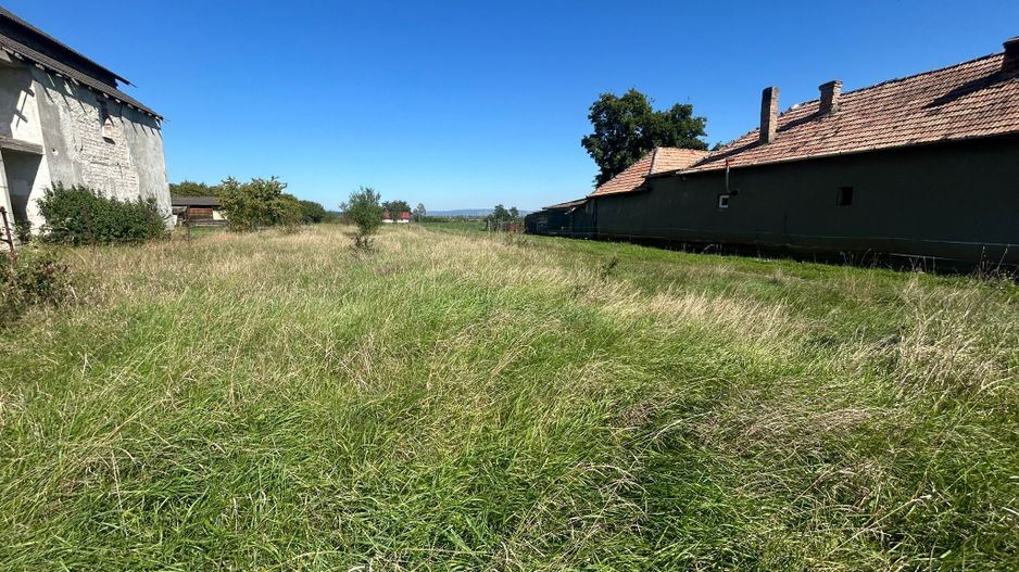 Teren intravilan, 5700mp - Teius - Poză 2