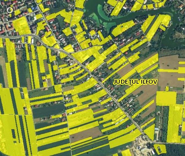 Teren pentru construcții Ghermănești Snagov - Poză 2