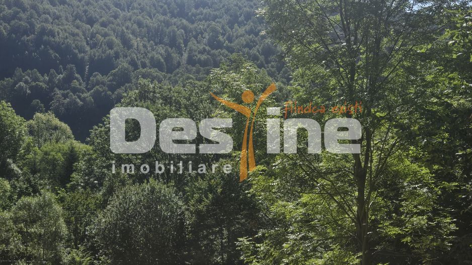Teren Valea Doftanei,  zona Pe Vale - Baraj Paltinu - Poză 5
