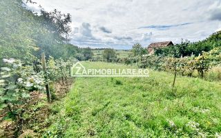 Teren 3.412 mp,zona Belvedere 45 euro mp - Poză 6