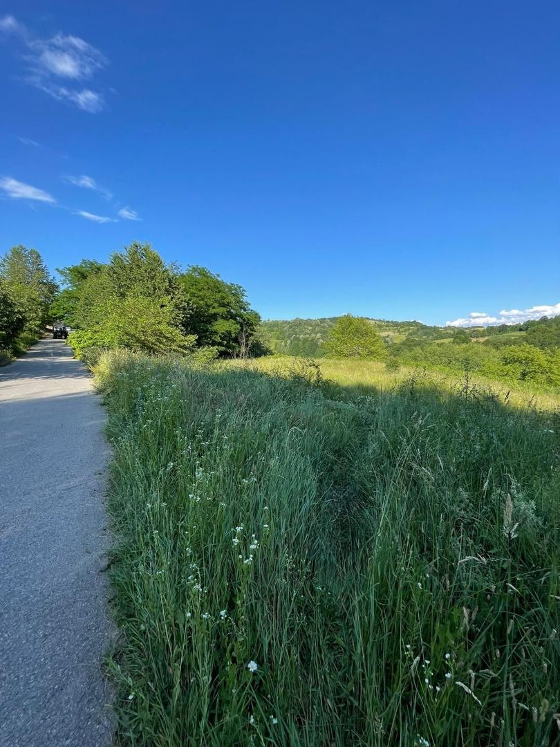 Teren zona turistica Rosia - Poză 4