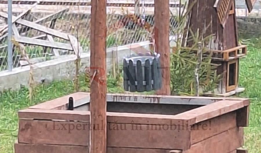 Casa Vacanta Rucar Saticu de Jos Arges - Poză 30