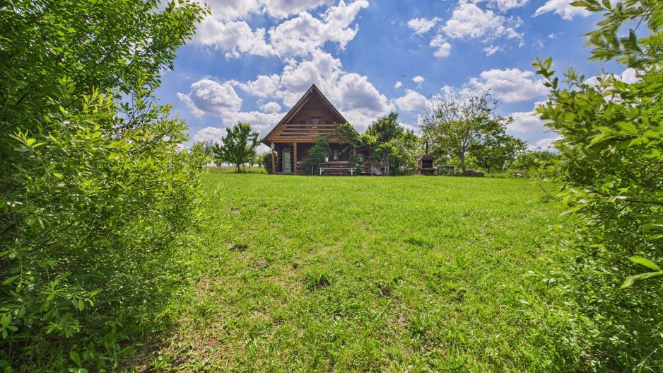 Teren cu baltă- oportunități multiple la Fibiș - Poză 45